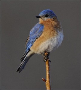  Photo Joan Schulz